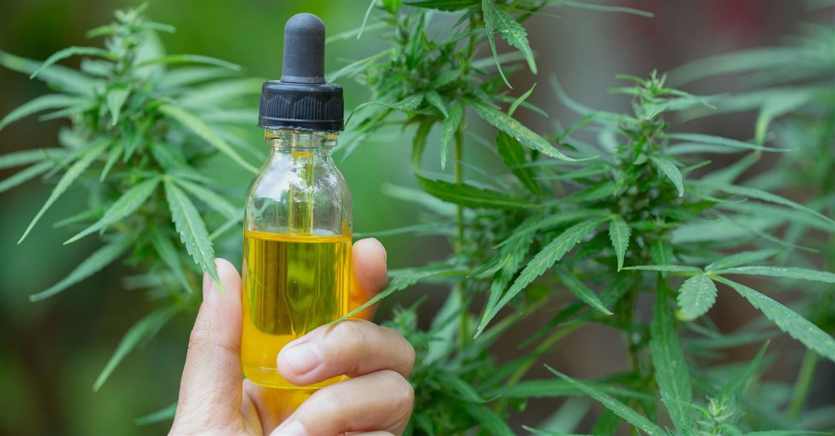 Benefits of CBD – What to Know?